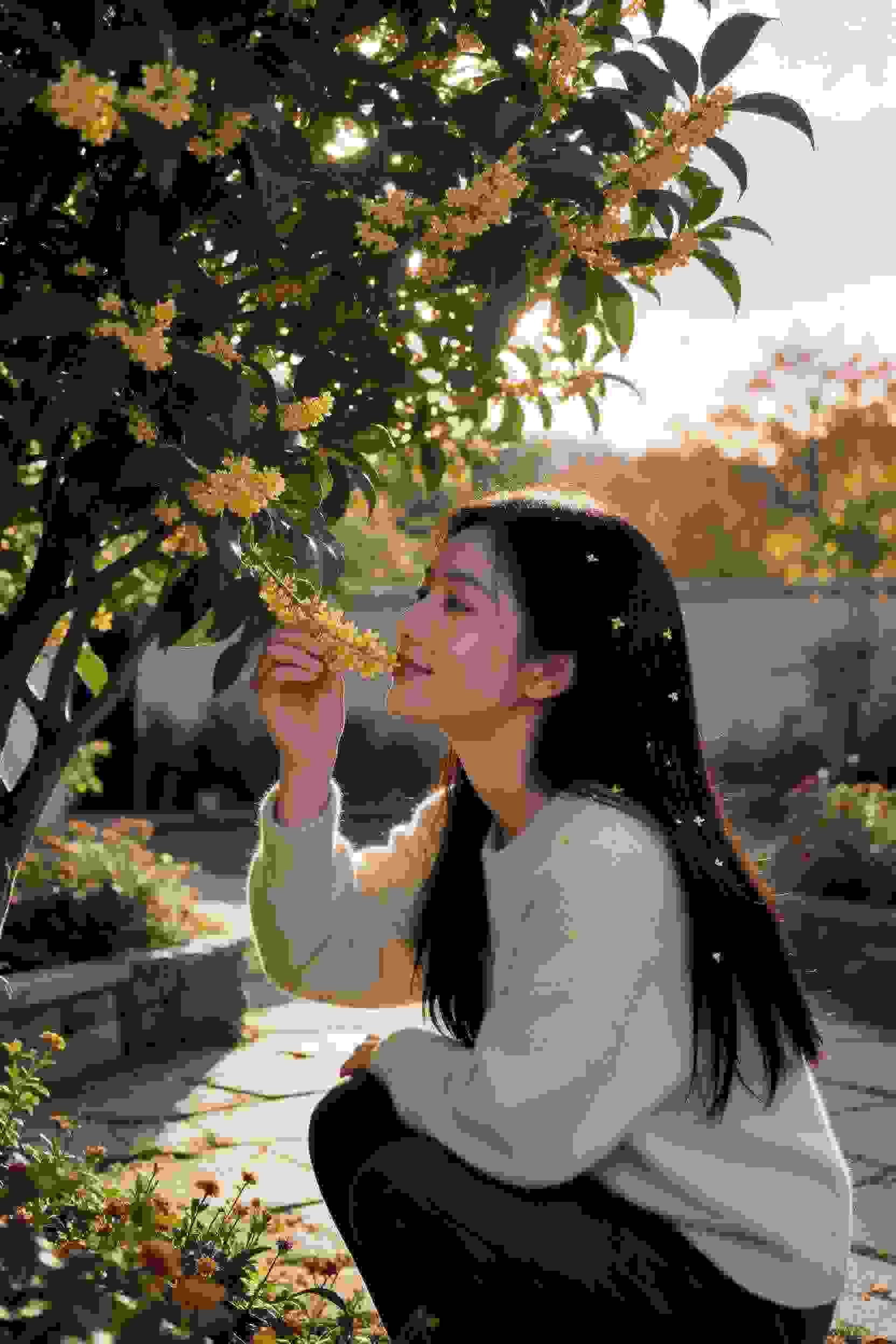 花样少年少女